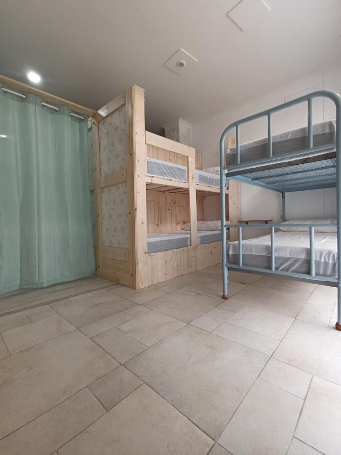 Bunk Bed Mixed Dormitory Room